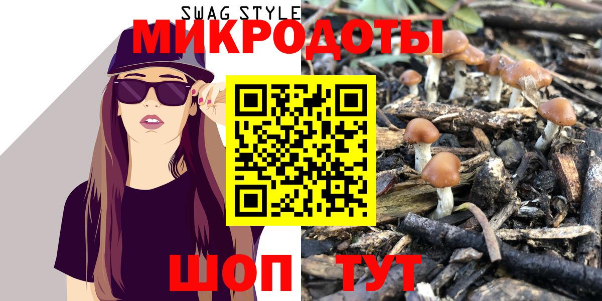 Гудермес  Псилоцибиновые грибы мухоморы  Псилоцибиновые грибы мухоморы  Вход с VPN 